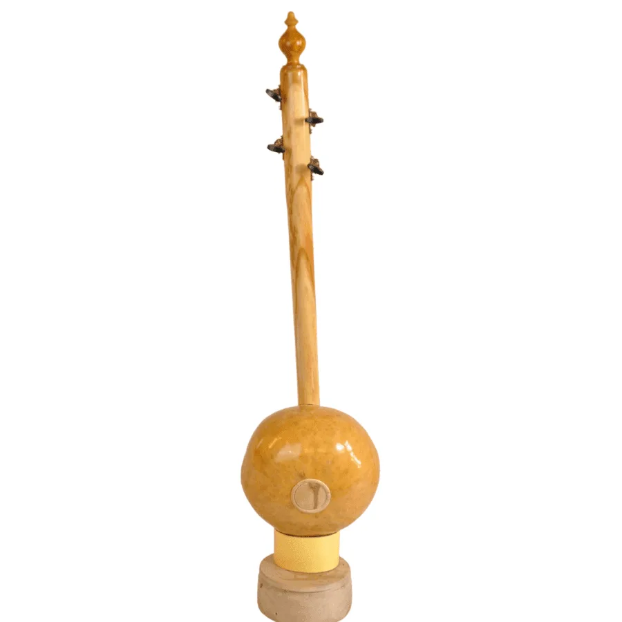 Traditional Turkish Kabak Kemane bowed fiddle – back view