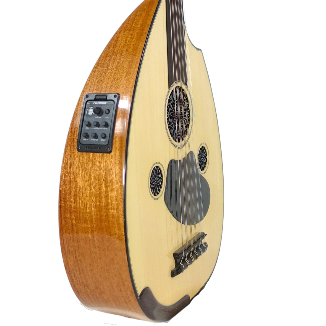Professional Arabic Electric Oud Instrument AOH-6 | Special Oud String  Musical Instrument