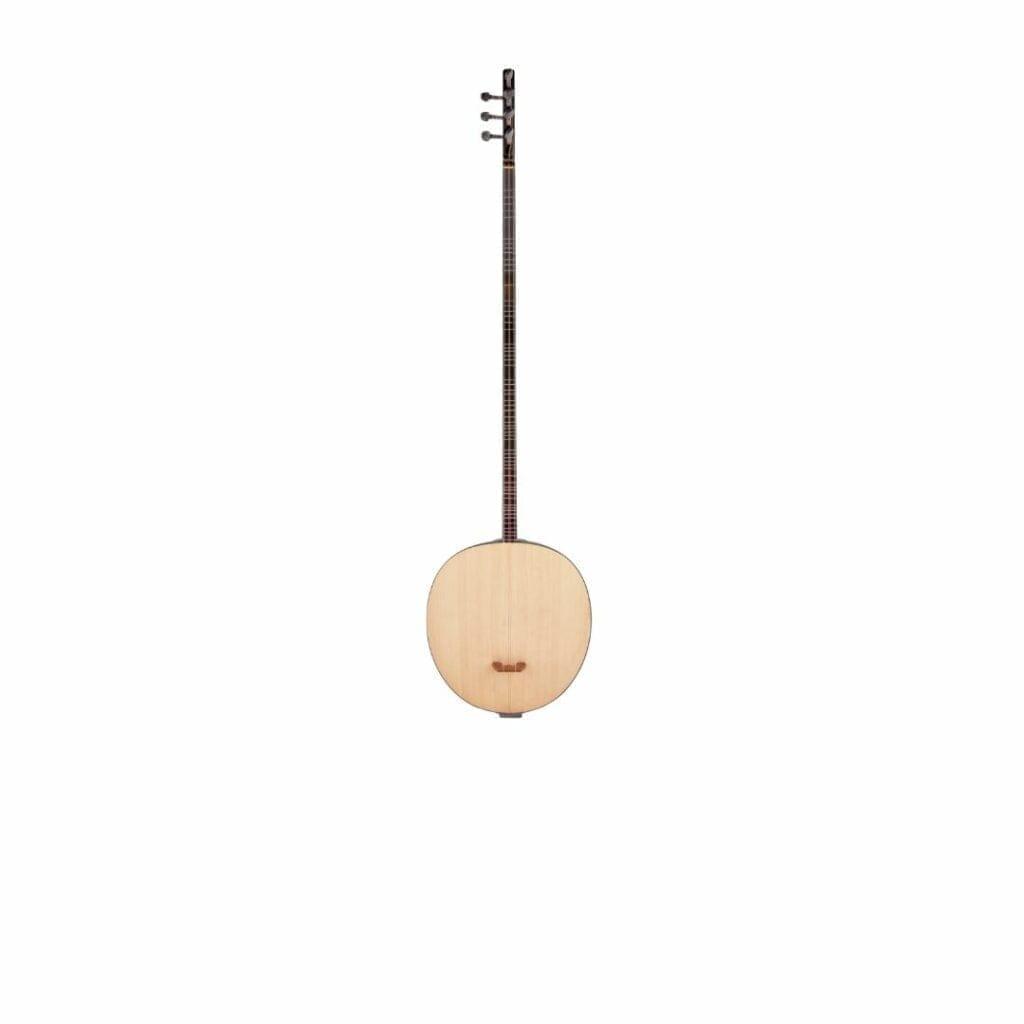 Tanbur con plectro