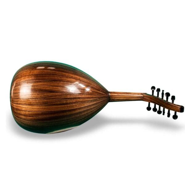 a close up of a Oud