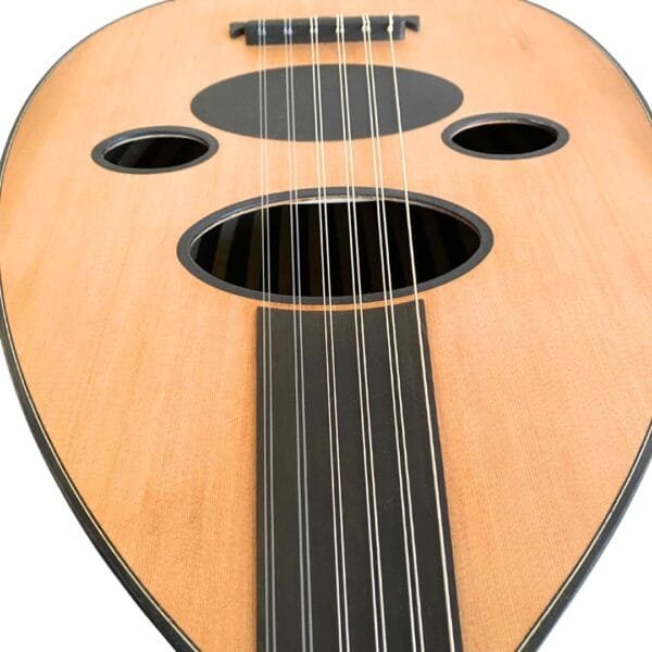 Arabic Oud Instrument