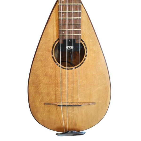 Bulgarian Tambura
