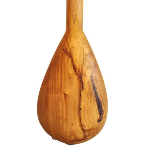 Bulgarian Tambura