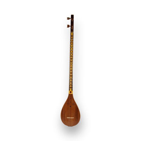 Professional Persian Setar