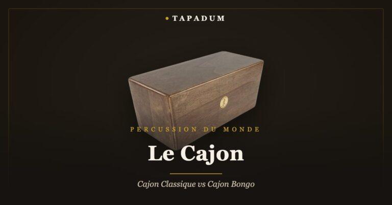 Bongo cajon – tambour boîte avec fûts style bongo