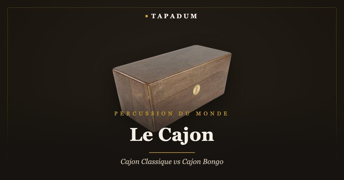 Bongo cajon – tambour boîte avec fûts style bongo