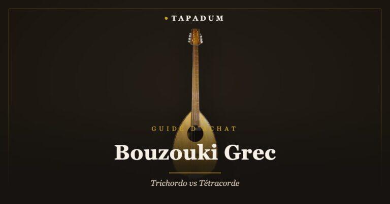Bouzouki grec – corps tétracorde et long manche