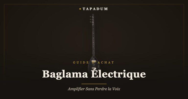 Baglama électrique – saz à corps solide avec micros intégrés pour l'amplification sur scène