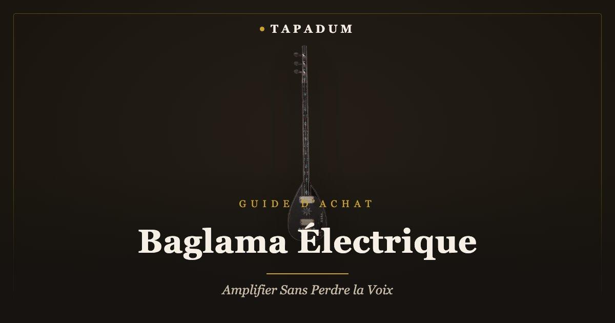 Baglama électrique – saz à corps solide avec micros intégrés pour l'amplification sur scène
