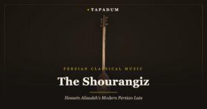 Persian shourangiz lute – Hossein Alizadeh's part-wood, part-skin alternative to the tar