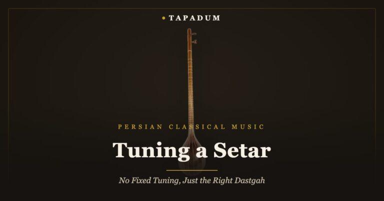 Persian setar – long-necked lute tuned by dastgah rather than a fixed tuning