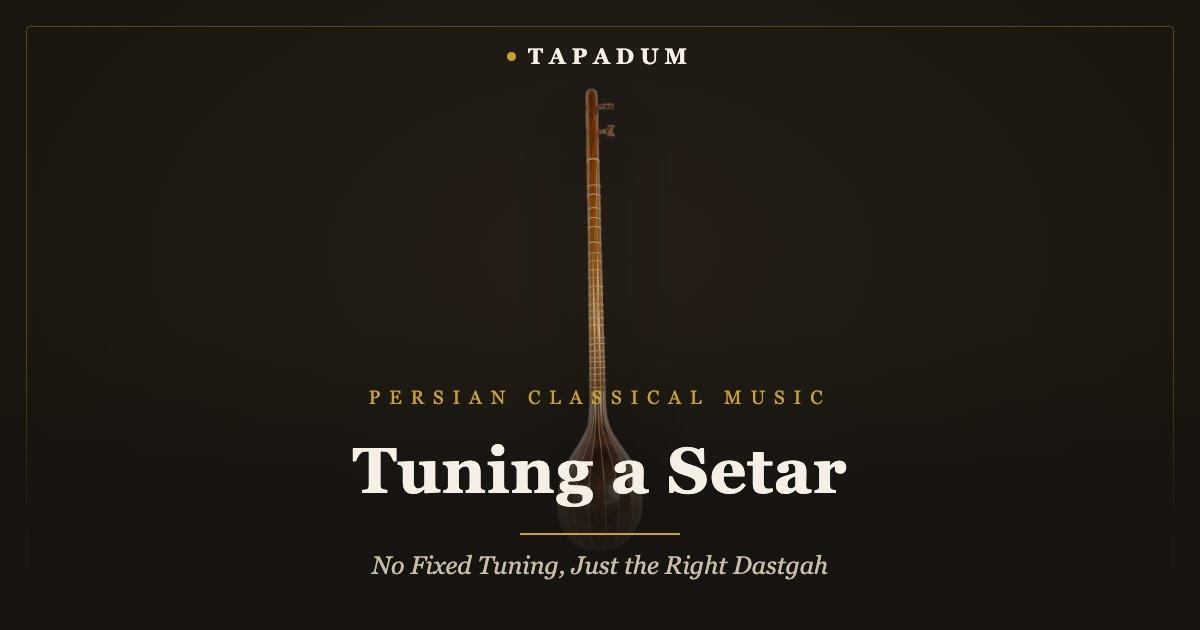 Persian setar – long-necked lute tuned by dastgah rather than a fixed tuning