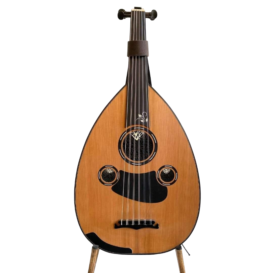 Oud, front profile view, the same instrument shown in this post's cover illustration