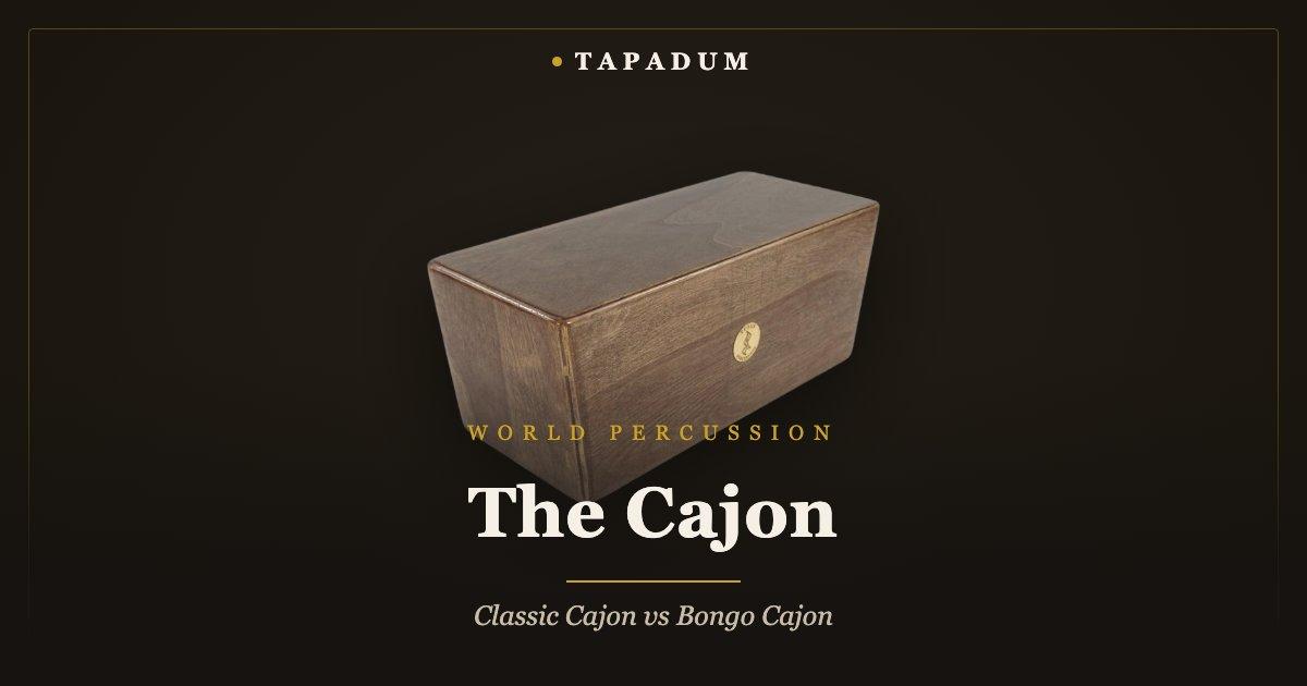Bongo cajon – box drum with bongo-style drumheads