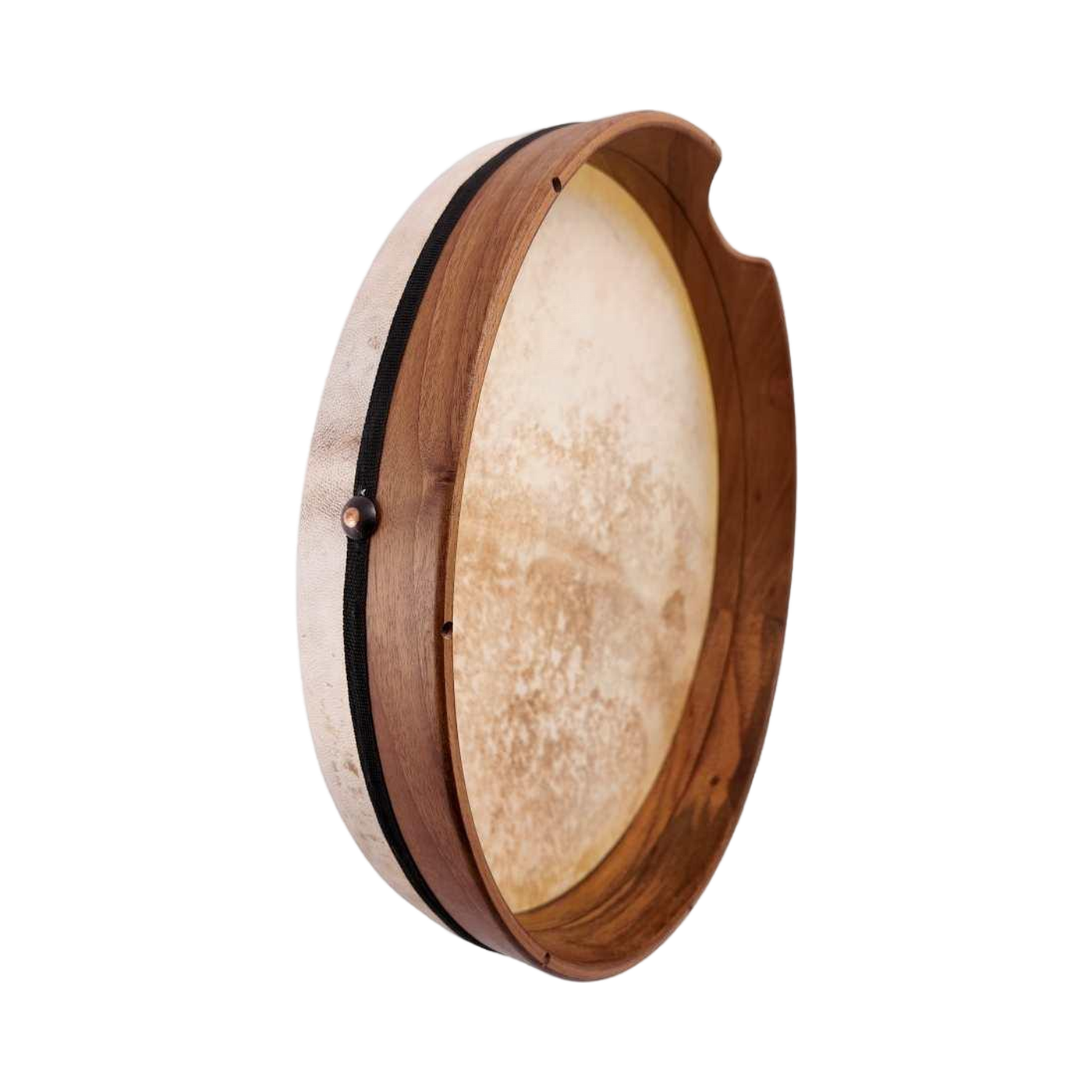 Bendir frame drum, the same instrument shown in this post's cover illustration